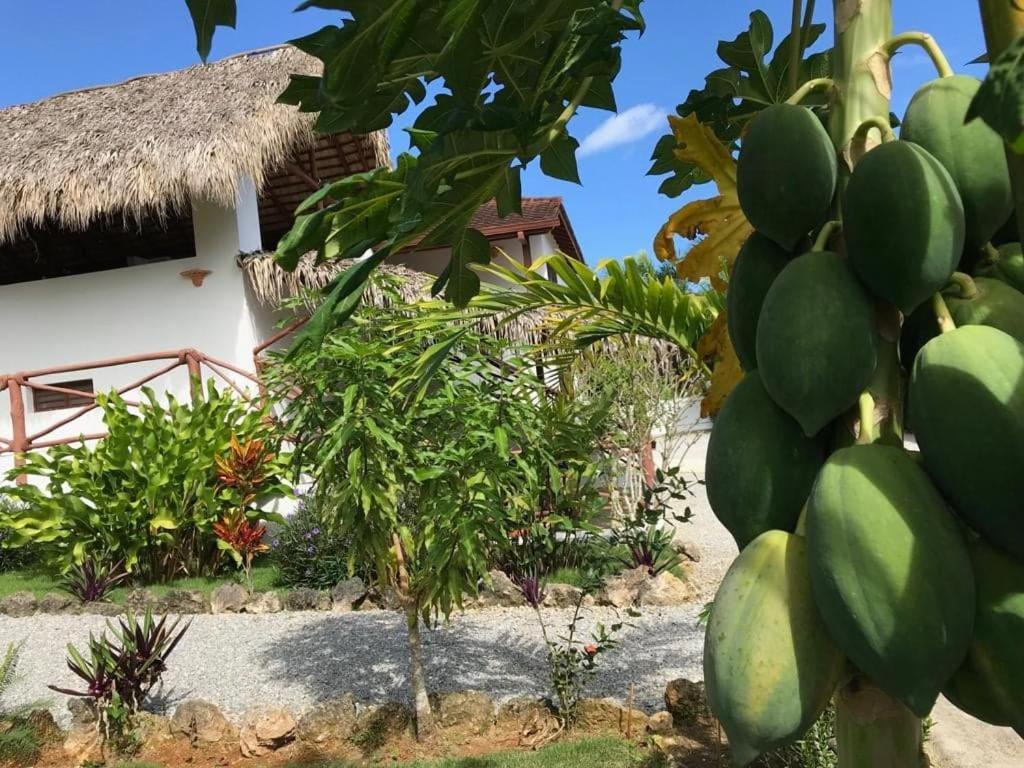 La Casa De Sergio Y Cristina Las Terrenas Exterior foto